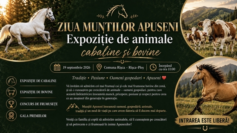 Frumusețea și mândria Apusenilor, într-un singur loc. Expoziție de cabaline și bovine la Rișca-Pleș