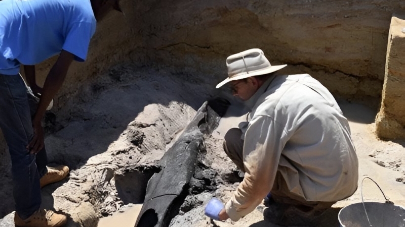 Cea mai veche structură construită de o specie dispărută de oameni a fost descoperită de arheologi