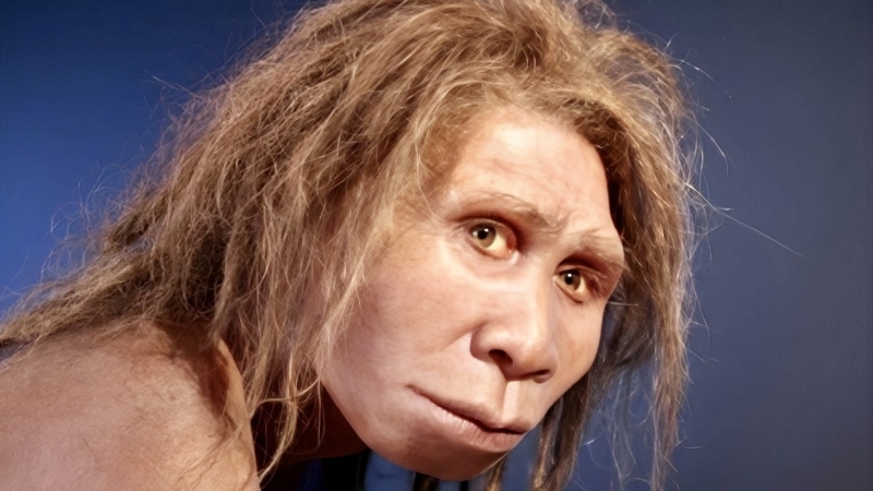Homo erectus – primii hominini care au depășit „rubiconul cerebral”