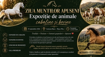 Frumusețea și mândria Apusenilor, într-un singur loc. Expoziție de cabaline și bovine la Rișca-Pleș